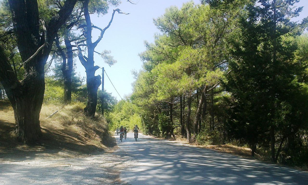 rhodes_roads_butterfly_bike_tour_05