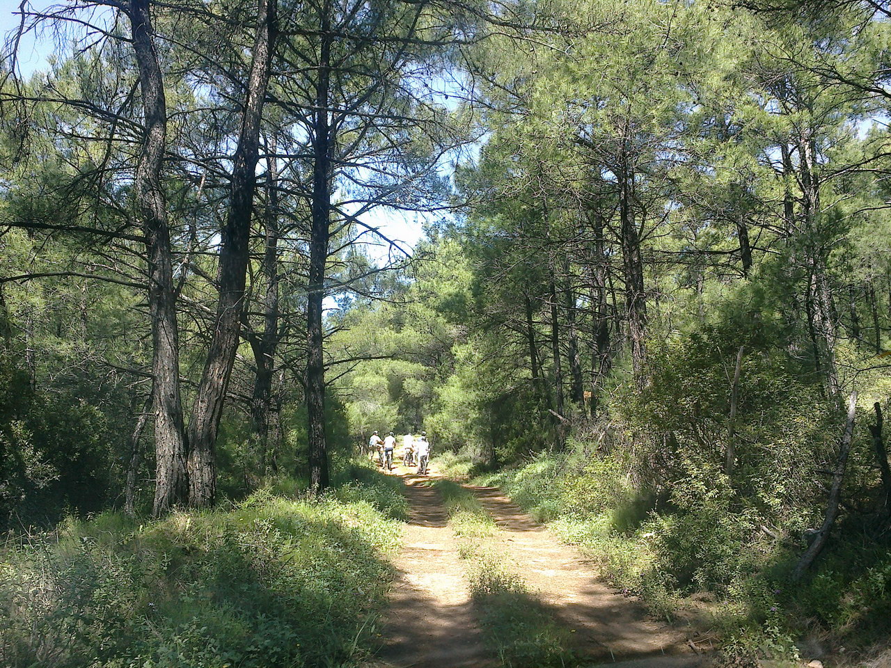 rhodes_roads_forest_bike_tour_03