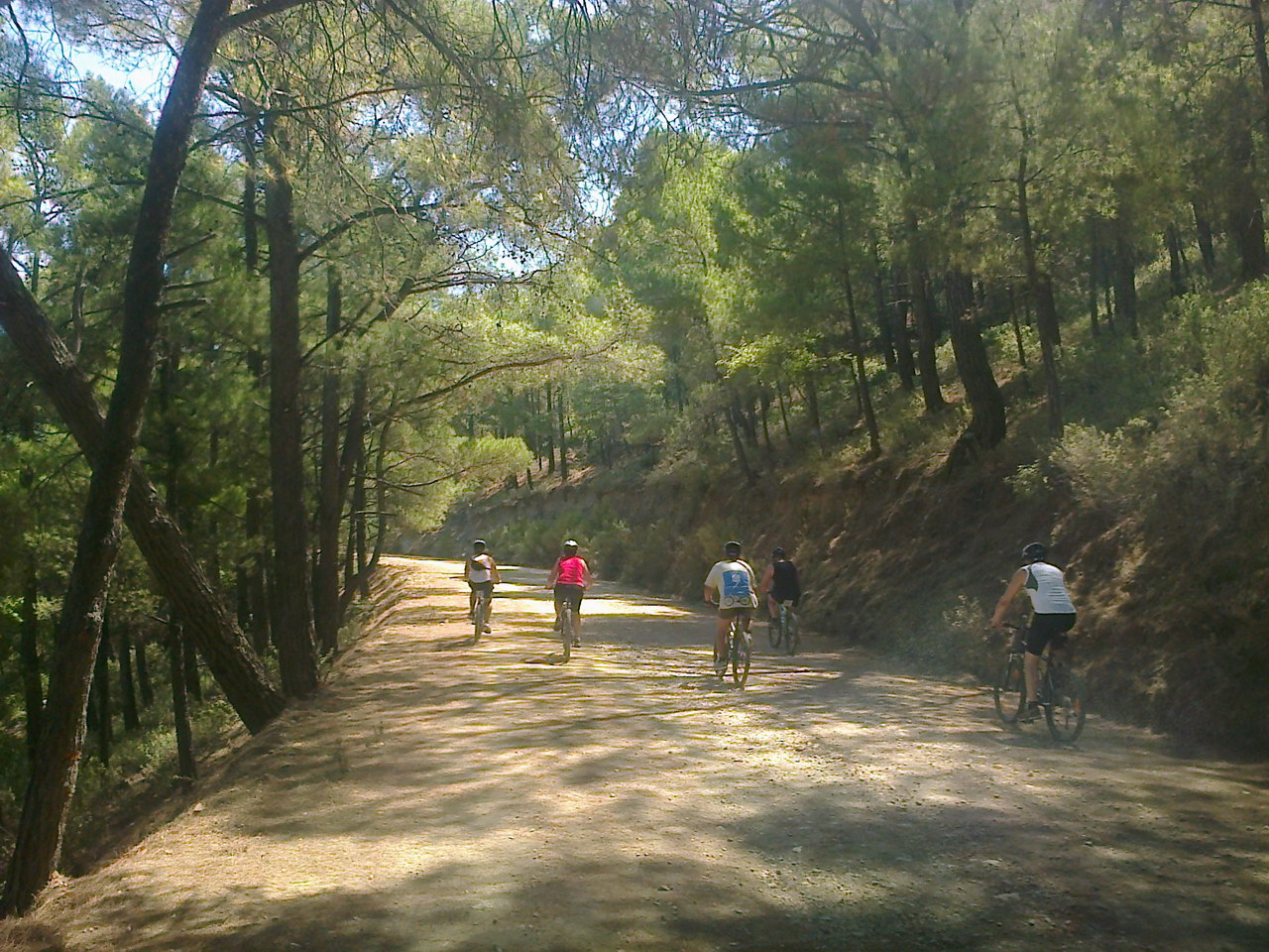 rhodes_roads_forest_bike_tour_05