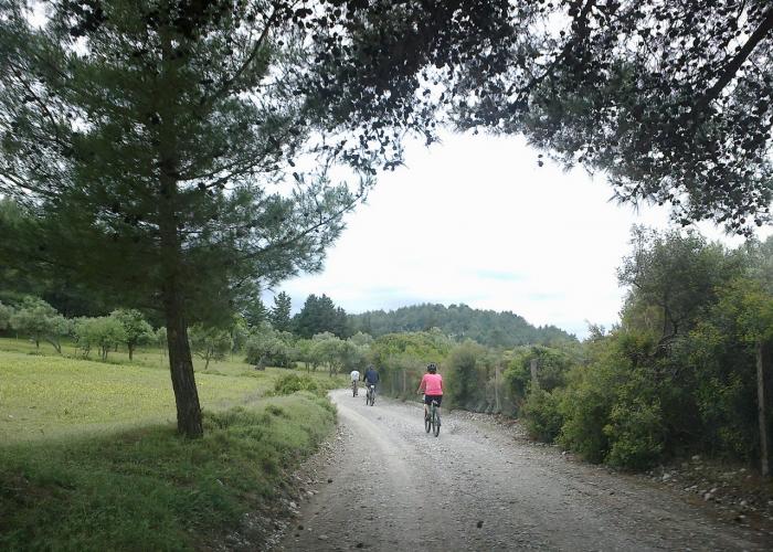 Rhodes city on a bike